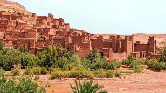 Private Siwa Oasis Full Day Tour — photo 27