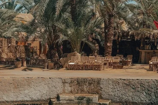 Private Siwa Oasis Full Day Tour — photo 49