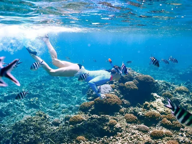 From Sharm: White Island and Ras Mohamed Snorkelling Trip — photo 40