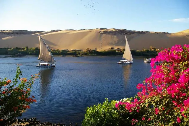 Private Aswan Felucca Ride and Botanical Garden Visit — photo 6