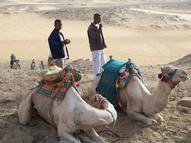 St Simeon Monastery Boat and Camel Tour from Aswan — photo 3