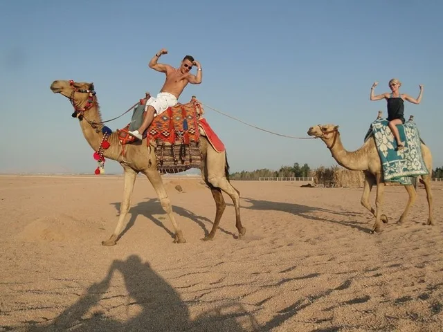 Camel Ride & Bedouin Dinner Safari from Sharm El Sheikh — photo 7