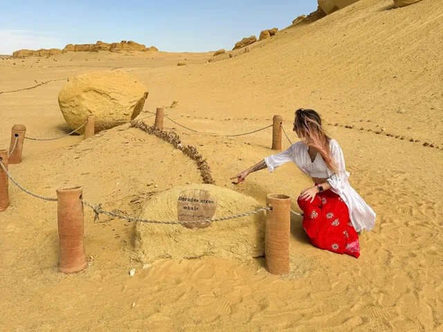 Wadi Hitan & Wadi El Rayan Waterfalls Tour from Cairo — tour photograph