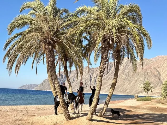 Dahab Lagoon Beach Horse Riding Tour — photo 10