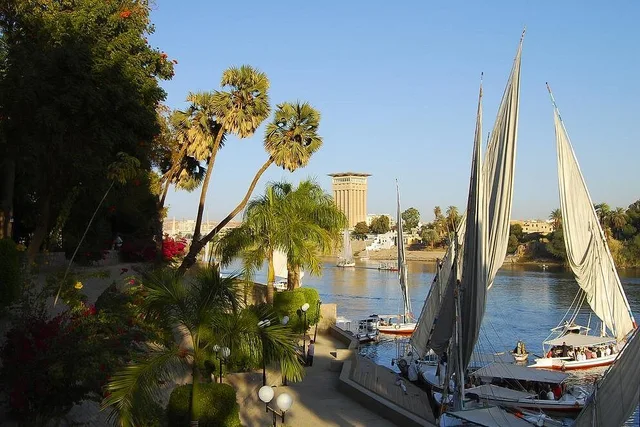 Private Aswan Felucca Ride and Botanical Garden Visit — photo 5