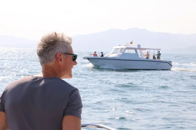 Dolphin Watching Boat Tour — reference photograph