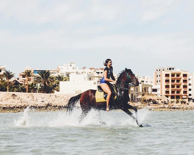 Dahab Lagoon Beach Horse Riding Tour — photo 4
