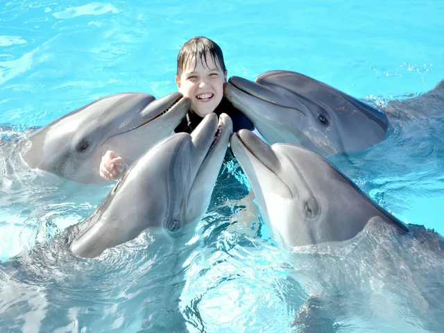 Dolphina Park Hurghada Show Tickets & Transfer Options — photo 3
