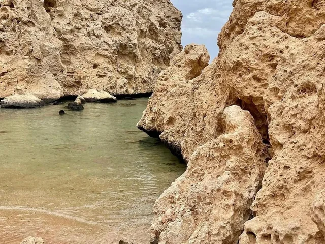 Sharm: Mangrove, Magic Lake, Earthquake Crack & Snorkelling by Bus — photo 28