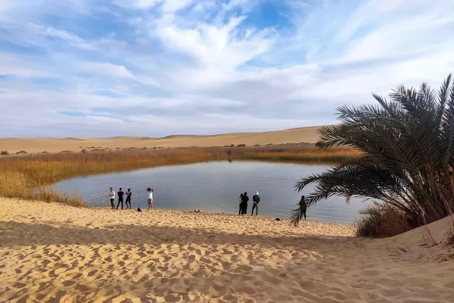 Private Siwa Oasis Full Day Tour — photo 43