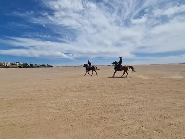 Marsa Alam Beach & Desert Horse Riding Tour — photo 8