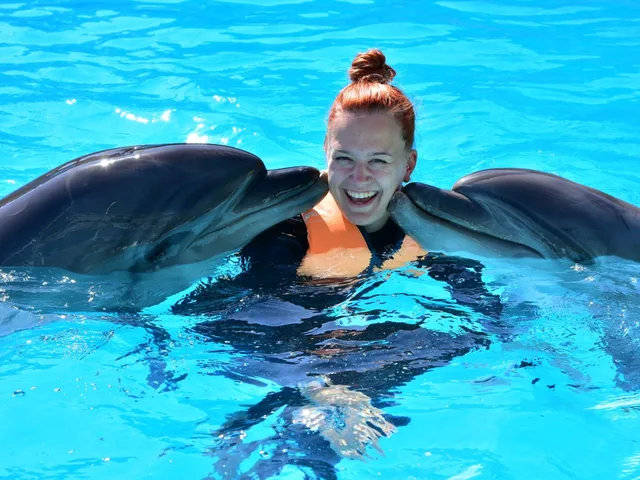 Dolphin Show in Sharm El Sheikh — photo 12