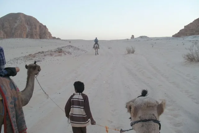 White Canyon Camel Safari & Ain Khudra from Dahab — photo 9