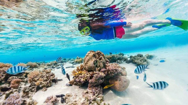 Hamata Islands Snorkeling Cruise from Marsa Alam — photo 6