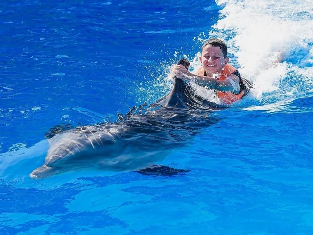 Dolphin Show in Sharm El Sheikh — photo 2