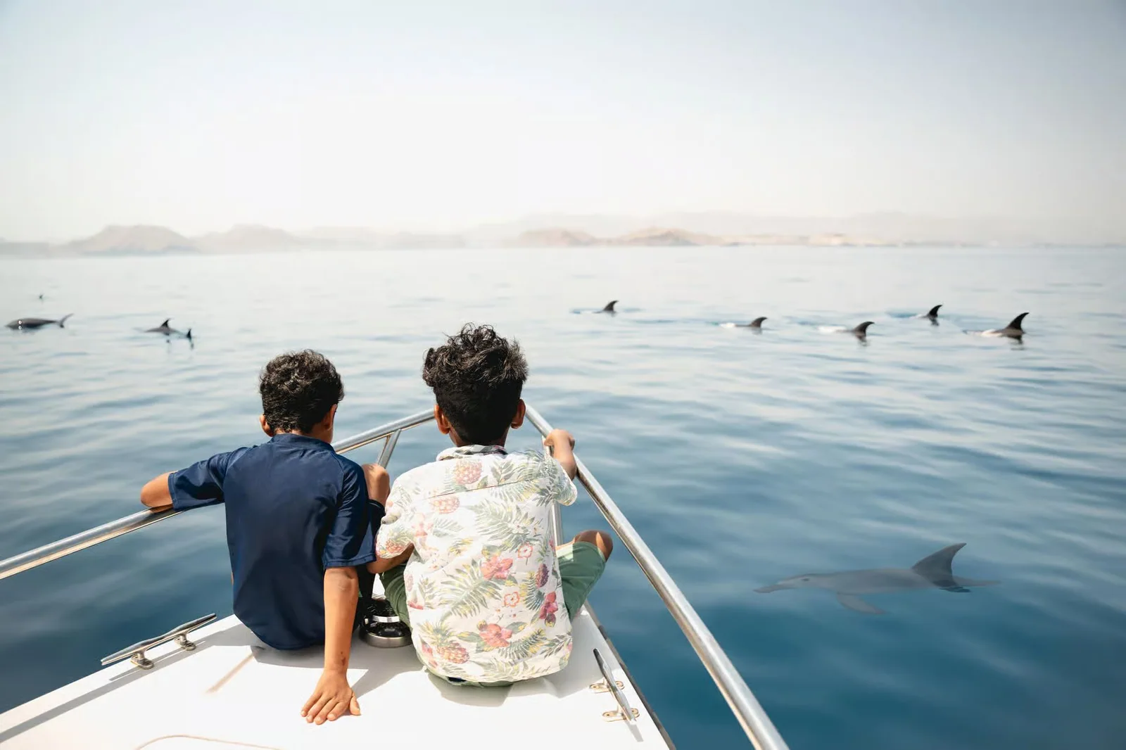 Guests watching dolphin fins from a boat