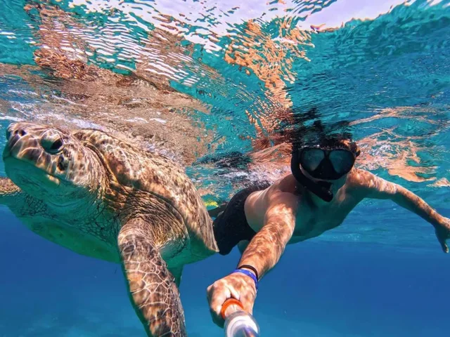 Marsa Alam Pirates Premium Cruise to Turtle Bay — photo 16