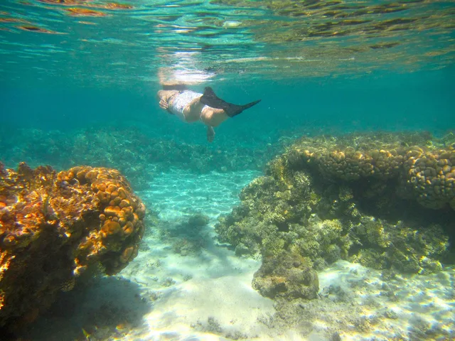 Pharaoh's Island Snorkeling Cruise from Taba — photo 4