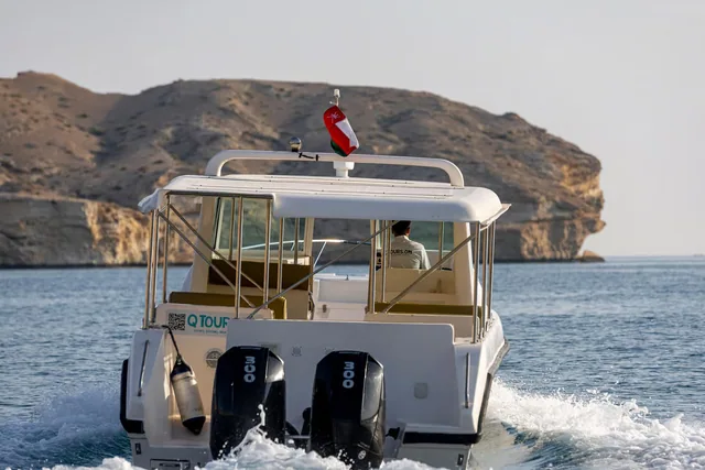 Dolphin Watching Boat Tour — reference photograph