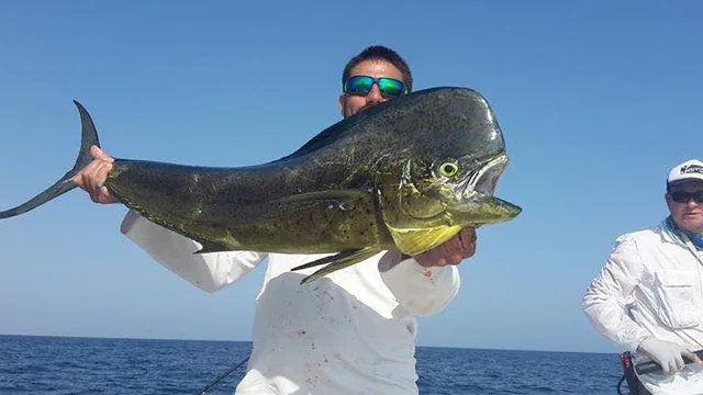 An angler holding a fish beside the sea