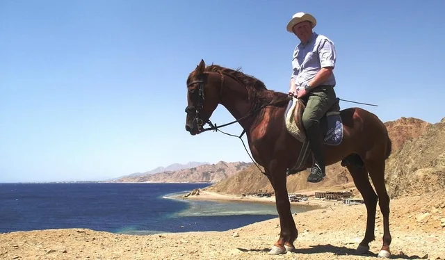 Dahab Lagoon Beach Horse Riding Tour — photo 11
