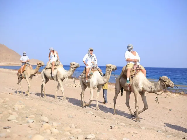 Jeep, Coloured Canyon, Snorkelling, Camel, Quad & Dahab from Sharm El Sheikh — photo 7