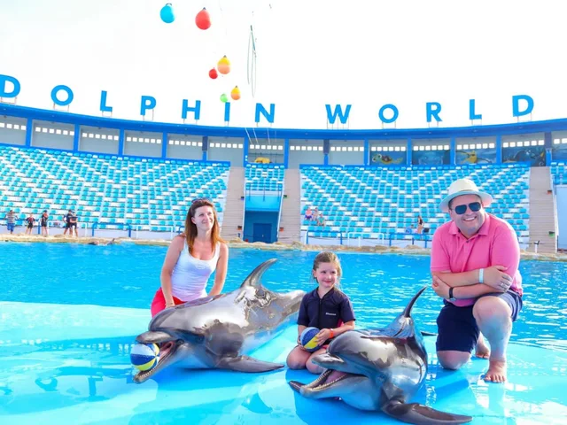 Dolphin World Makadi Show from Hurghada — photo 3