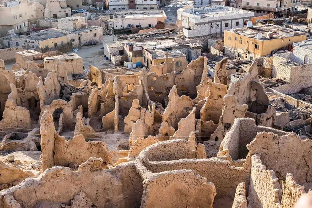 Private Siwa Oasis Full Day Tour — photo 77