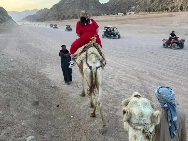 Camel Ride & Bedouin Dinner Safari from Sharm El Sheikh — photo 10