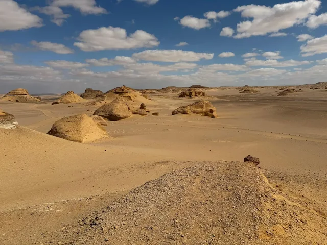 Wadi Hitan & Wadi El Rayan Waterfalls Tour from Cairo — photo 13