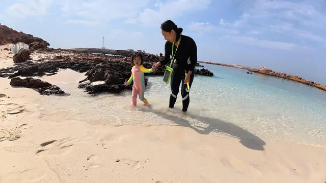 Dolphin Watching & Snorkeling — reference photograph