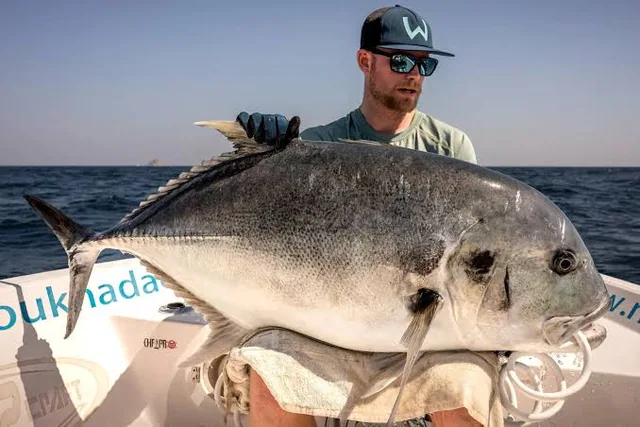 Salalah fishing tour photo 6