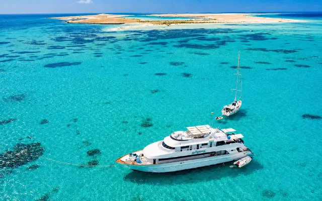 From Sharm: White Island and Ras Mohamed Snorkelling Trip — photo 32