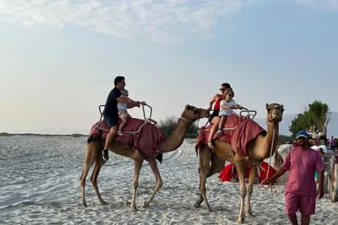 Camel riding on the beach photo 13
