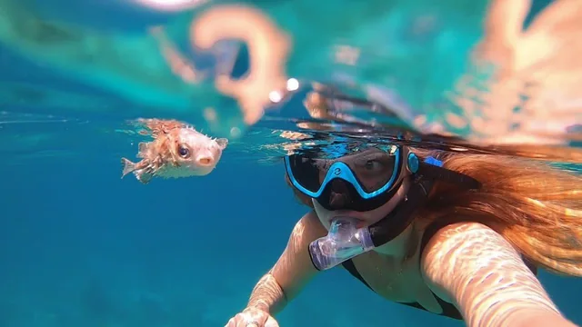 Daymaniat Islands Snorkeling with Brunch — reference photograph