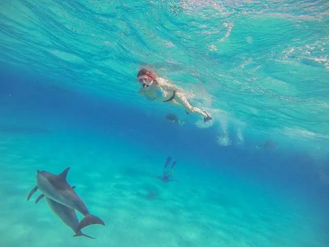 Shaab Samadai Dolphin House Snorkeling from Marsa Alam — photo 5