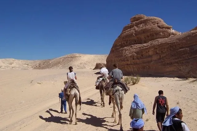 White Canyon Camel Safari & Ain Khudra from Dahab — photo 12