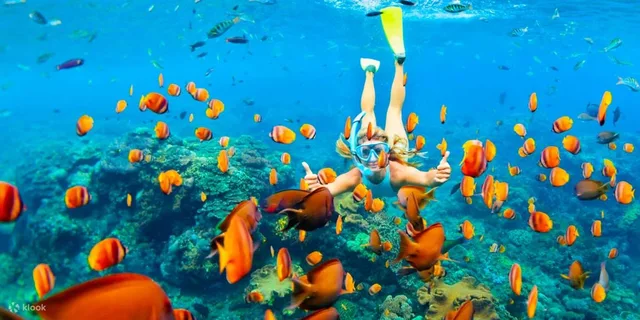 Hamata Islands Snorkeling Cruise from Marsa Alam — photo 2
