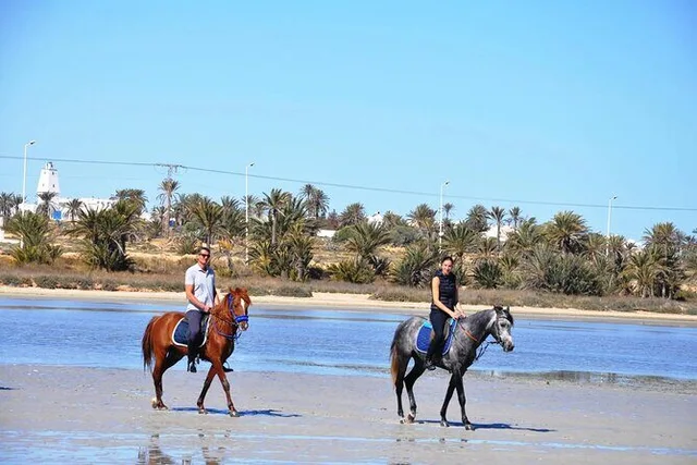 Marsa Alam Beach & Desert Horse Riding Tour — photo 3