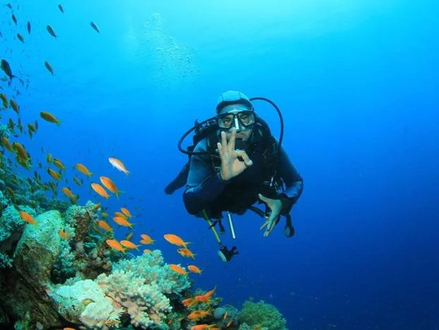 Hurghada Full-Day Diving Trip with Two Dives & Lunch — photo 2