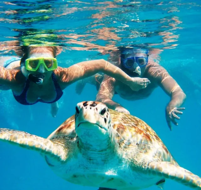 Marsa Alam Pirates Premium Cruise to Turtle Bay — photo 5