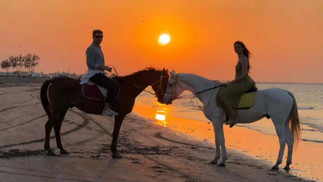 Horse riders beside the sea at sunset