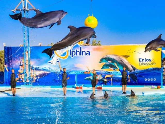 Dolphina Park Hurghada Show Tickets & Transfer Options — tour photograph