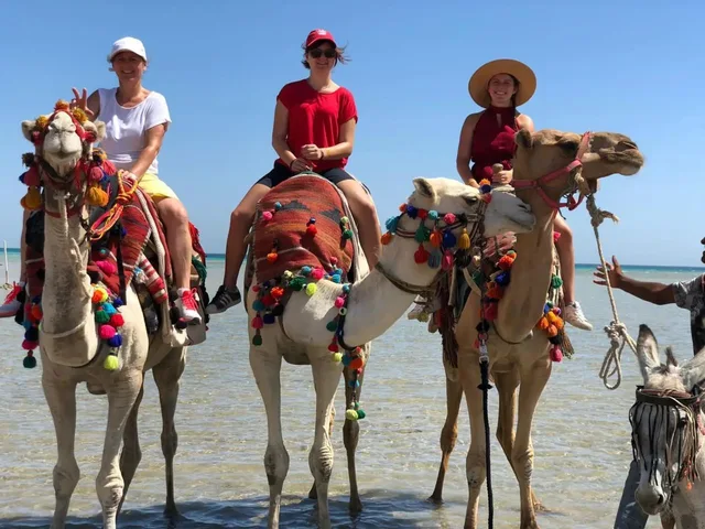Hurghada Sunset Camel Ride on the Beach & Desert — photo 6