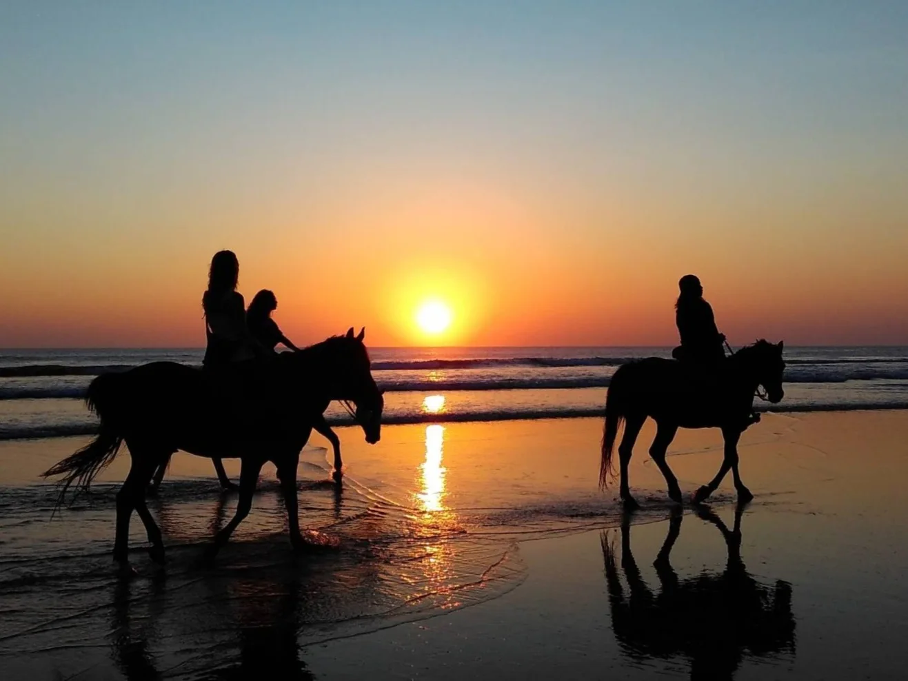 Marsa Alam Beach & Desert Horse Riding Tour — tour photograph