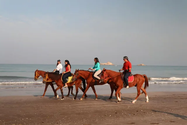 Horse Riding on the Beach — reference photograph