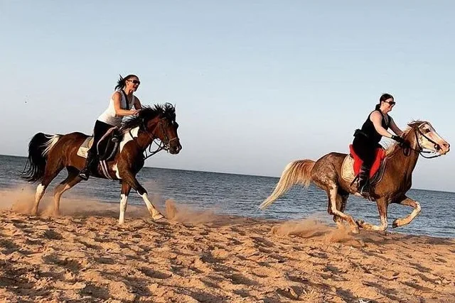 Dahab Lagoon Beach Horse Riding Tour — photo 7