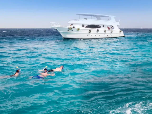 Shaab Samadai Dolphin House Snorkeling from Marsa Alam — photo 9