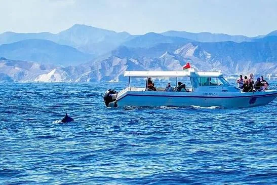 Wildlife cruise in Salalah