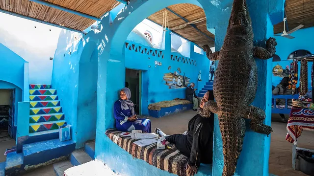 Nubian Village Motorboat Tour from Aswan — photo 22